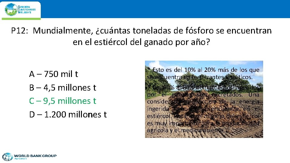 P 12: Mundialmente, ¿cuántas toneladas de fósforo se encuentran en el estiércol del ganado