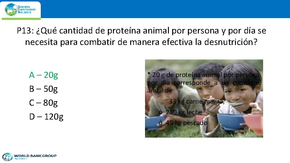 P 13: ¿Qué cantidad de proteína animal por persona y por día se necesita