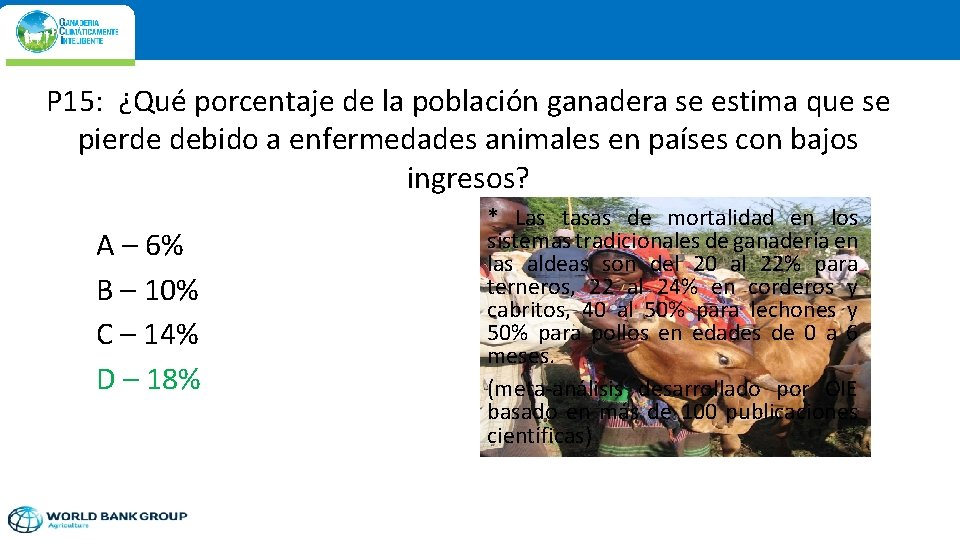 P 15: ¿Qué porcentaje de la población ganadera se estima que se pierde debido