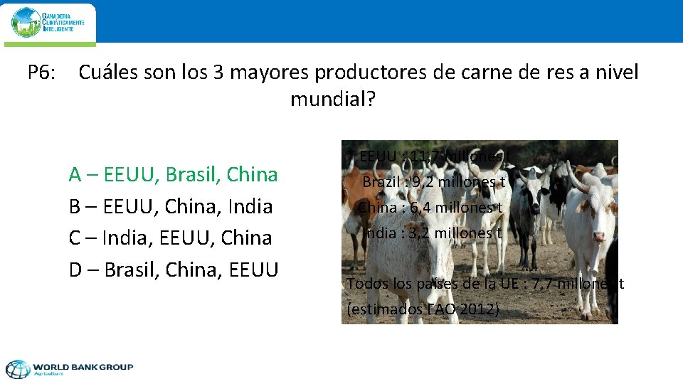 P 6: Cuáles son los 3 mayores productores de carne de res a nivel