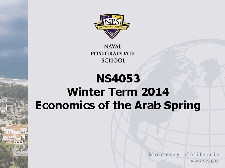 NS 4053 Winter Term 2014 Economics of the Arab Spring 
