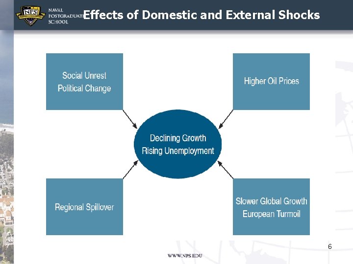 Effects of Domestic and External Shocks 6 