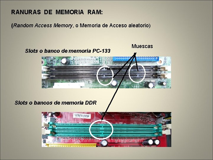 RANURAS DE MEMORIA RAM: (Random Access Memory, o Memoria de Acceso aleatorio) Slots o