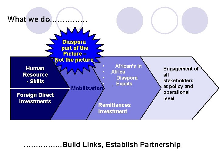 What we do…………… Diaspora part of the Picture – Not the picture Human Resource