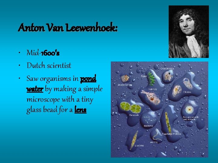 Anton Van Leewenhoek: • Mid-1600’s • Dutch scientist • Saw organisms in pond water