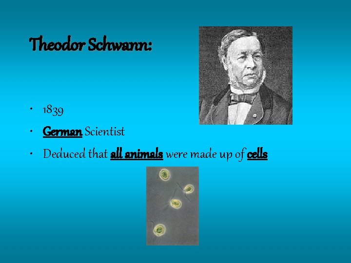 Theodor Schwann: • 1839 • German Scientist • Deduced that all animals were made