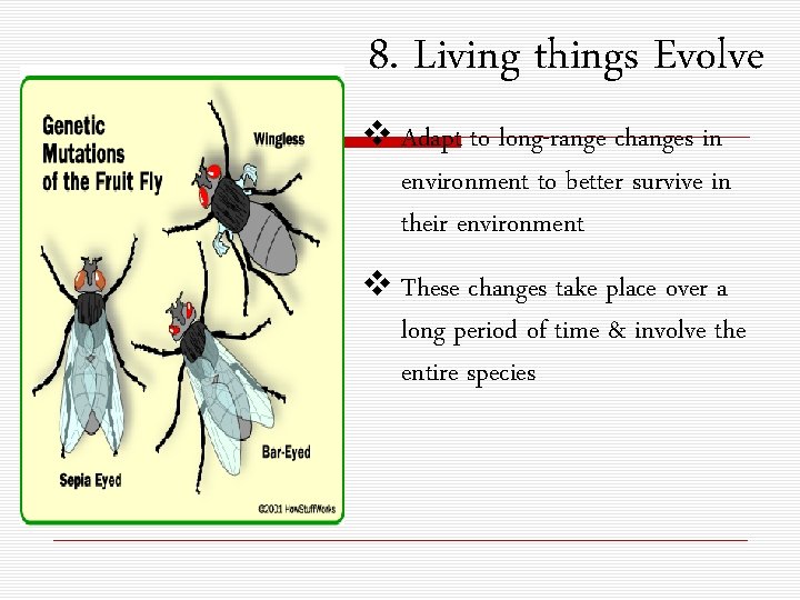 8. Living things Evolve v Adapt to long-range changes in environment to better survive