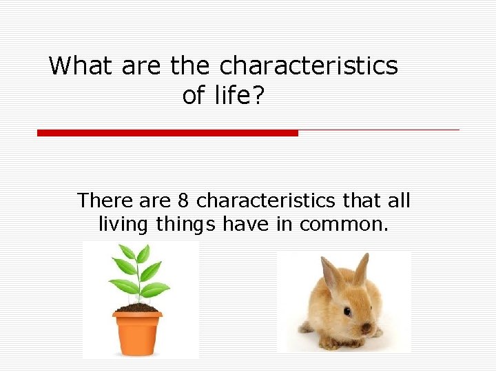 What are the characteristics of life? There are 8 characteristics that all living things