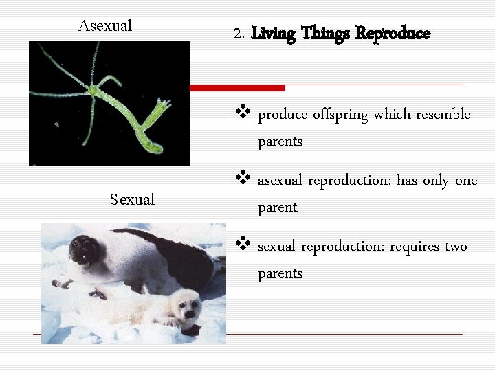 Asexual 2. Living Things Reproduce v produce offspring which resemble parents Sexual v asexual