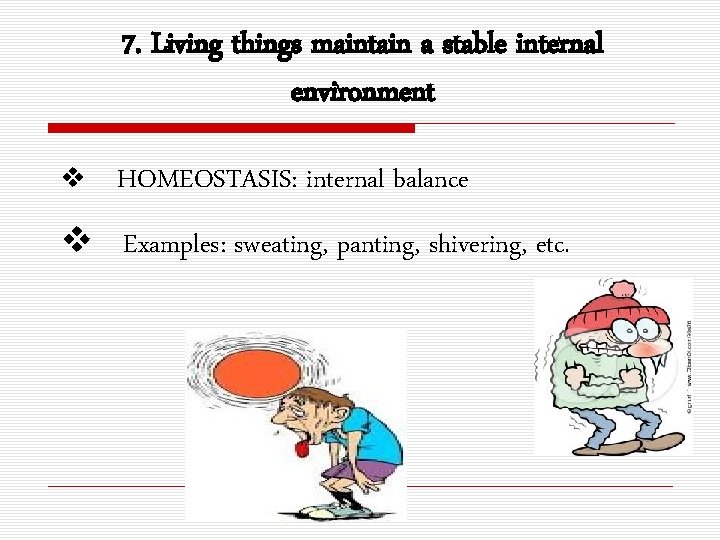 7. Living things maintain a stable internal environment v HOMEOSTASIS: internal balance v Examples: