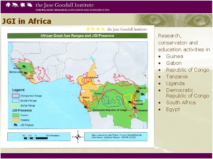 JGI in Africa Research, conservaton and education activities in • Guinea • Gabon •