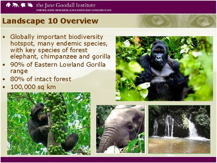 Landscape 10 Overview • Globally important biodiversity hotspot, many endemic species, with key species