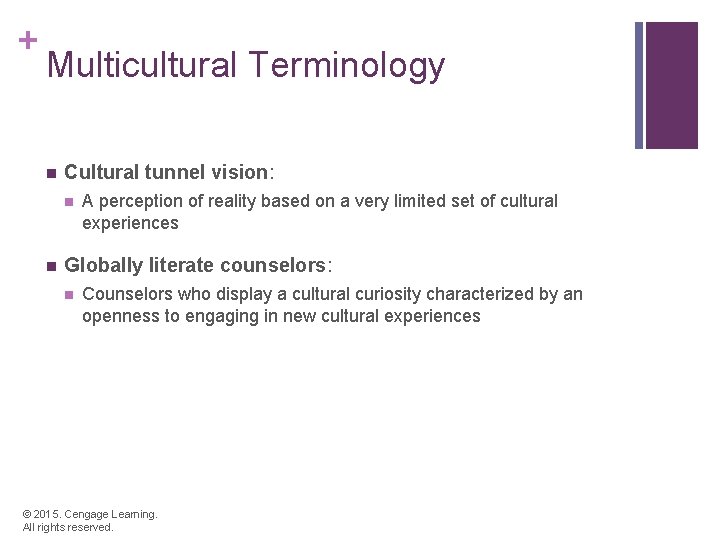 + Multicultural Terminology n Cultural tunnel vision: n n A perception of reality based