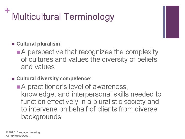 + Multicultural Terminology n Cultural pluralism: n. A perspective that recognizes the complexity of