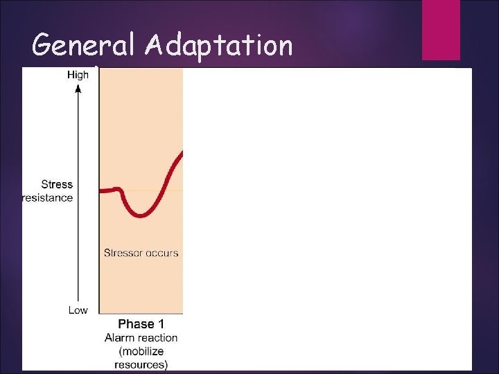 General Adaptation Syndrome 