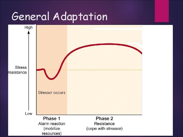 General Adaptation Syndrome 