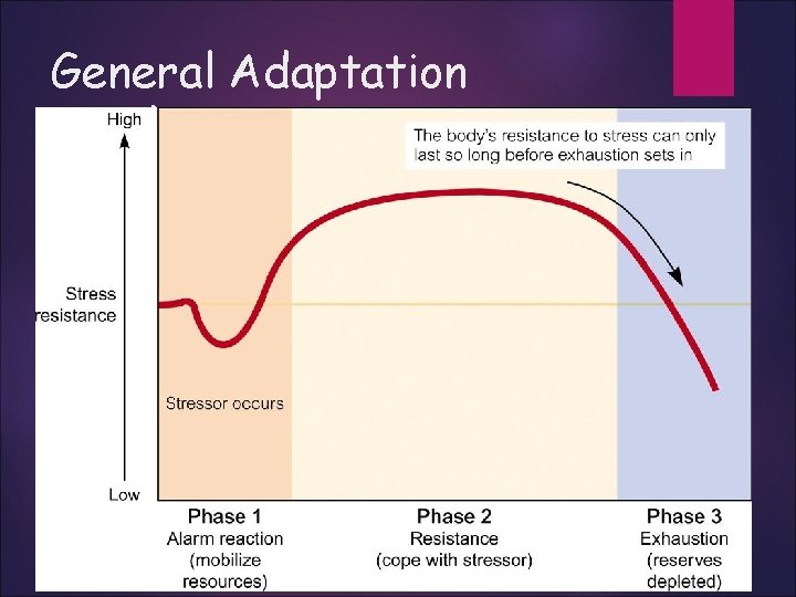 General Adaptation Syndrome 