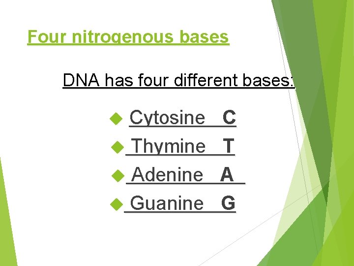 Four nitrogenous bases DNA has four different bases: Cytosine Thymine Adenine Guanine C T