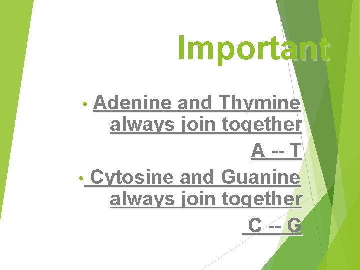 Important Adenine and Thymine always join together A -- T • Cytosine and Guanine