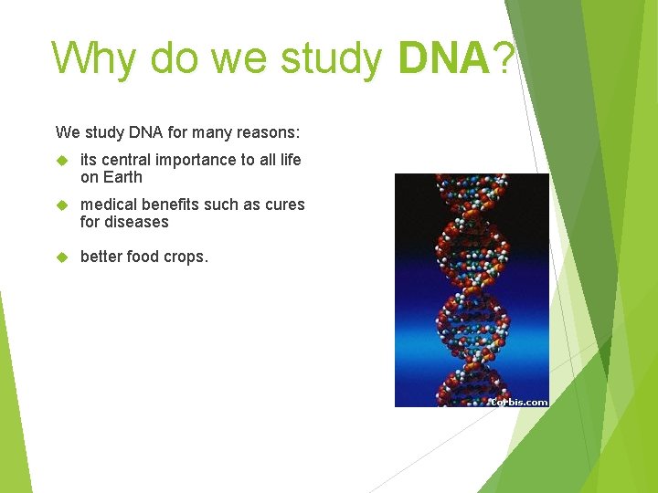 Why do we study DNA? We study DNA for many reasons: its central importance