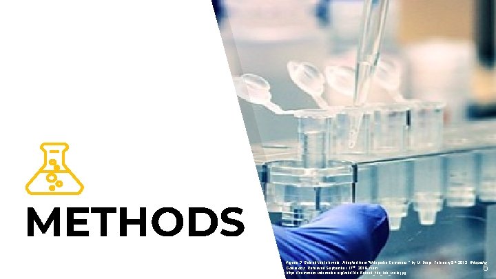 METHODS Figure 3. Behind the lab work. Adapted from “Wikipedia Commons, ” by M. METHODS Figure 3. Behind the lab work. Adapted from “Wikipedia Commons, ” by M.