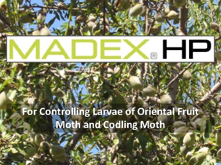 For Controlling Larvae of Oriental Fruit Moth and Codling Moth 