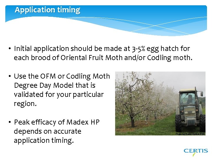 Application timing • Initial application should be made at 3 -5% egg hatch for