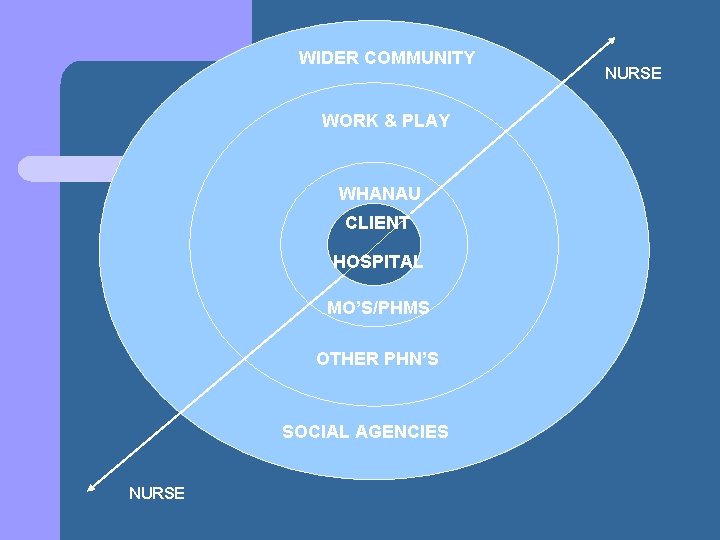 WIDER COMMUNITY WORK & PLAY WHANAU CLIENT HOSPITAL MO’S/PHMS OTHER PHN’S SOCIAL AGENCIES NURSE