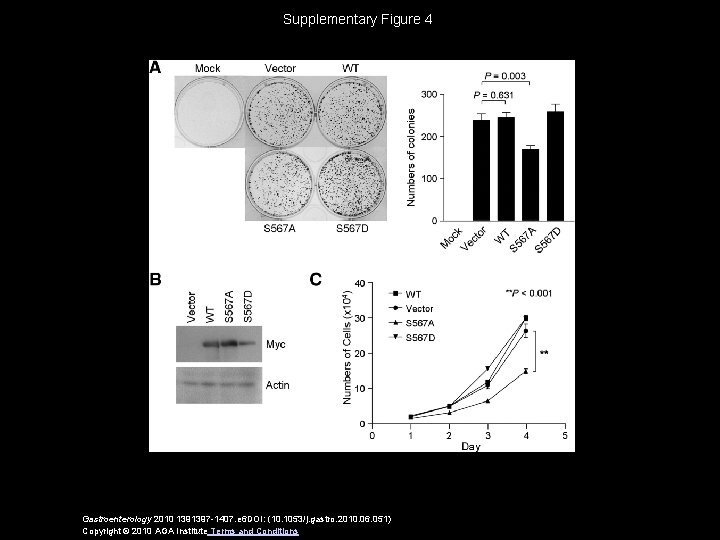 Supplementary Figure 4 Gastroenterology 2010 1391397 -1407. e 6 DOI: (10. 1053/j. gastro. 2010.