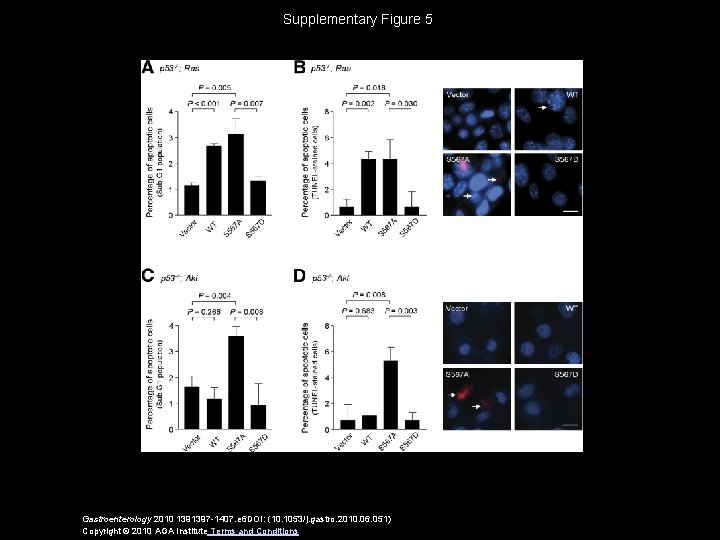 Supplementary Figure 5 Gastroenterology 2010 1391397 -1407. e 6 DOI: (10. 1053/j. gastro. 2010.