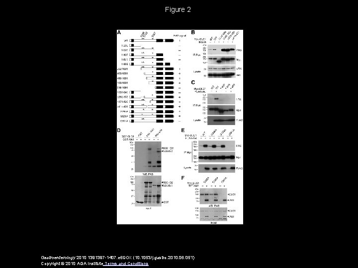 Figure 2 Gastroenterology 2010 1391397 -1407. e 6 DOI: (10. 1053/j. gastro. 2010. 06.