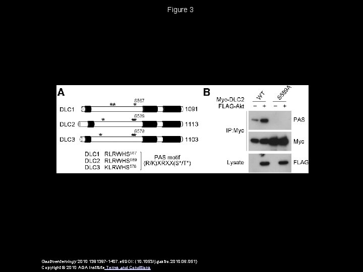 Figure 3 Gastroenterology 2010 1391397 -1407. e 6 DOI: (10. 1053/j. gastro. 2010. 06.