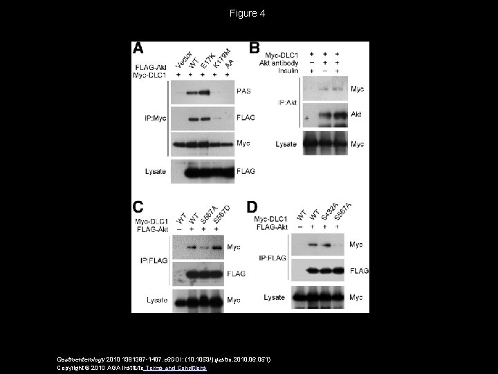 Figure 4 Gastroenterology 2010 1391397 -1407. e 6 DOI: (10. 1053/j. gastro. 2010. 06.