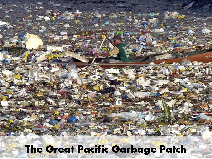 The Great Pacific Garbage Patch 