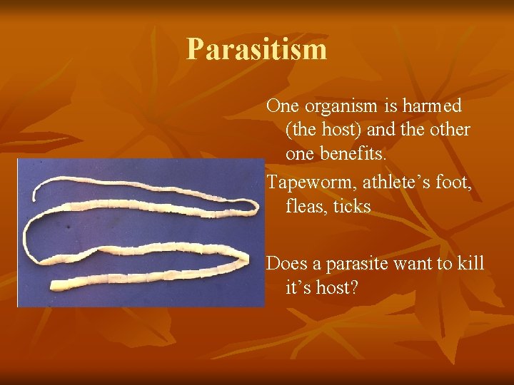 Parasitism One organism is harmed (the host) and the other one benefits. Tapeworm, athlete’s