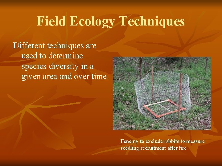 Field Ecology Techniques Different techniques are used to determine species diversity in a given