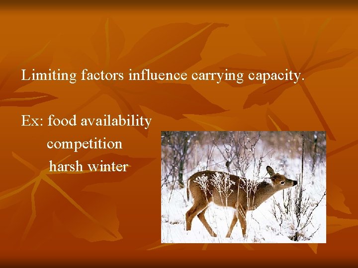 Limiting factors influence carrying capacity. Ex: food availability competition harsh winter 