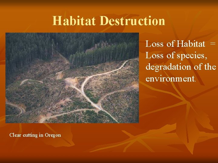 Habitat Destruction Loss of Habitat = Loss of species, degradation of the environment. Clear