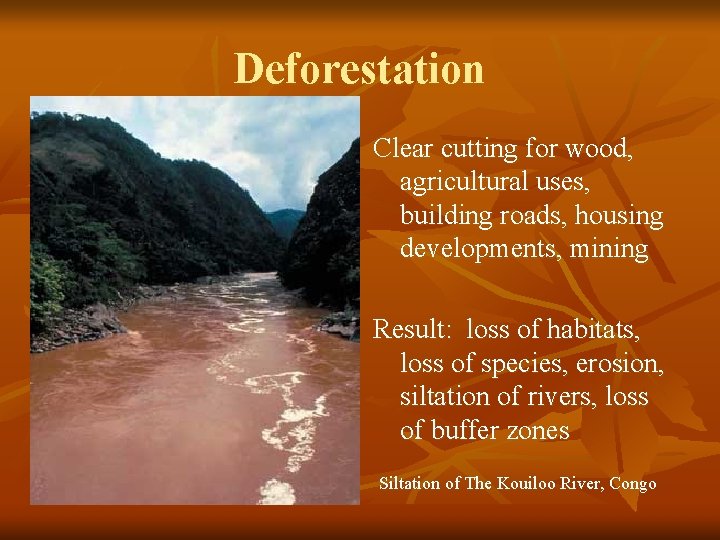 Deforestation Clear cutting for wood, agricultural uses, building roads, housing developments, mining Result: loss