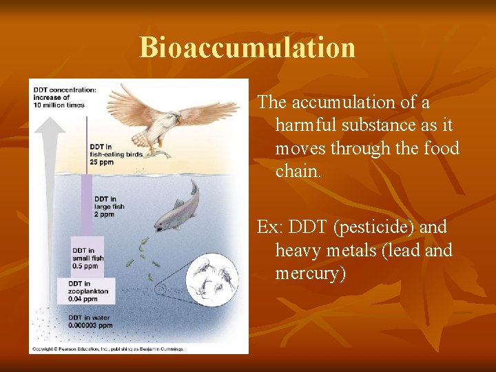 Bioaccumulation The accumulation of a harmful substance as it moves through the food chain.