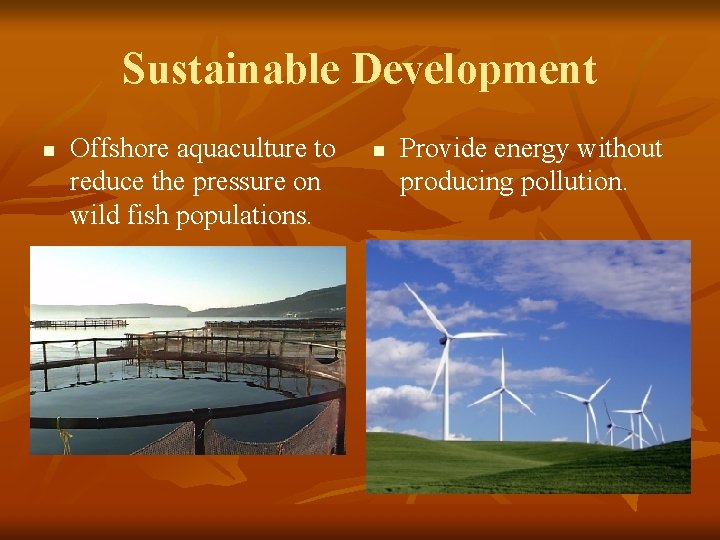 Sustainable Development n Offshore aquaculture to reduce the pressure on wild fish populations. n