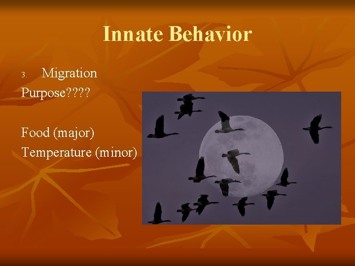 Innate Behavior Migration Purpose? ? 3. Food (major) Temperature (minor) 