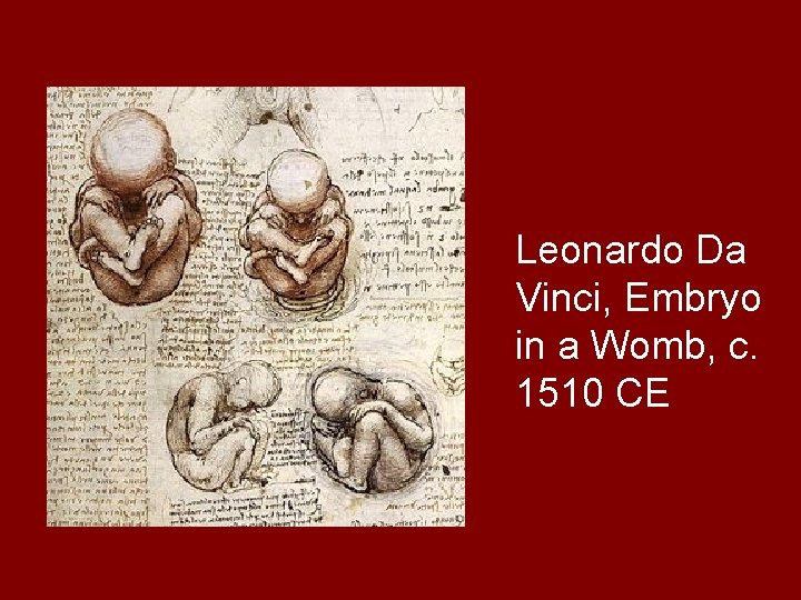 Leonardo Da Vinci, Embryo in a Womb, c. 1510 CE 