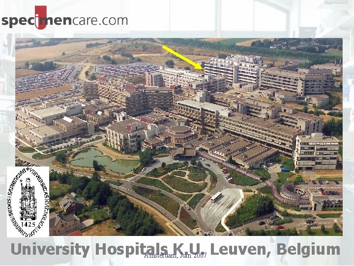 University Hospitals K. U. Leuven, Belgium Amsterdam, Juin 2007 