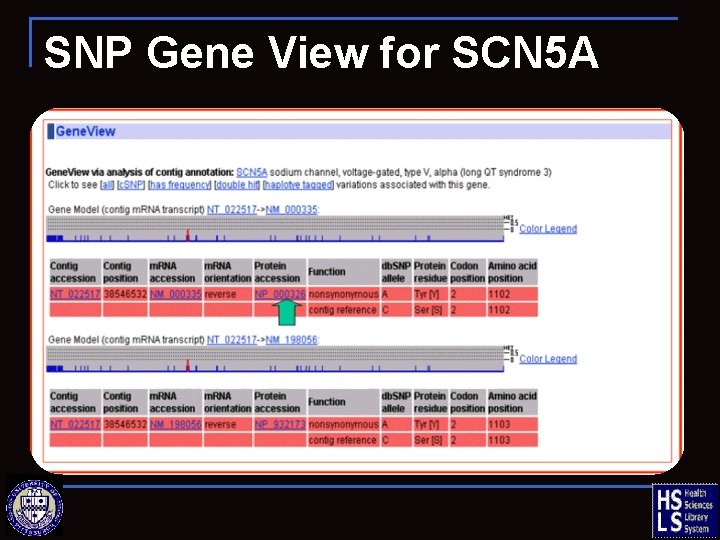 SNP Gene View for SCN 5 A 