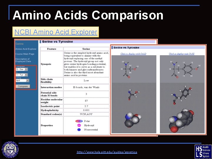 Amino Acids Comparison NCBI Amino Acid Explorer http: //www. hsls. pitt. edu/guides/genetics 