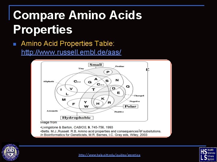 Compare Amino Acids Properties n Amino Acid Properties Table: http: //www. russell. embl. de/aas/