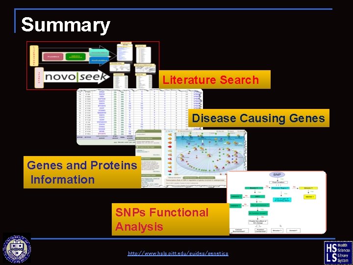 Summary Literature Search Disease Causing Genes and Proteins Information SNPs Functional Analysis http: //www.