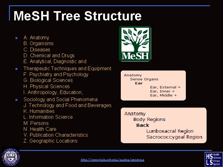 Me. SH Tree Structure n n n A. Anatomy B. Organisms C. Diseases D.