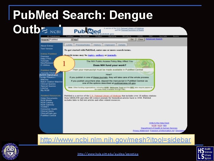 Pub. Med Search: Dengue Outbreaks 1 http: //www. ncbi. nlm. nih. gov/mesh? itool=sidebar http: